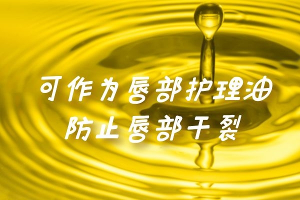 可作为唇部护理油