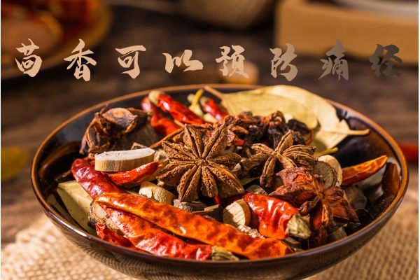  小茴香的作用是什么？小茴香有这5大强大功效