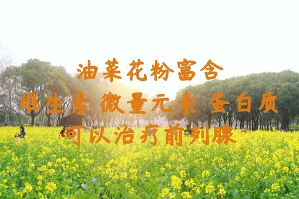  油菜花粉有哪些功效与作用？