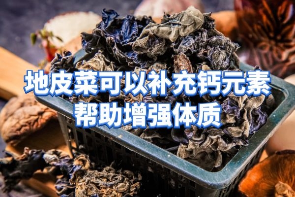  什么是地皮菜？地皮菜的功效与作用及禁忌分别是什么？