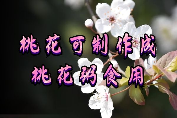 桃花粥