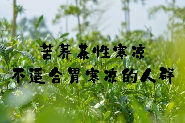 胃寒凉的人群禁喝