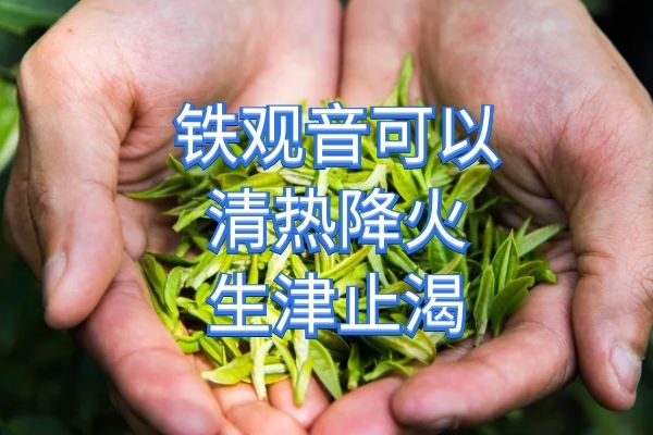 清热降火生津止渴