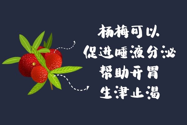  食用杨梅的功效和作用与禁忌分别是什么？