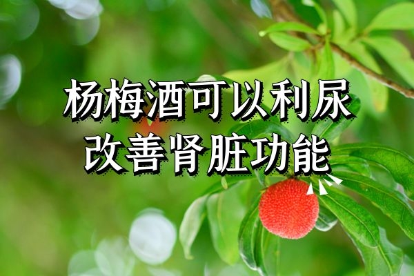  杨梅酒的功效和作用与禁忌有哪些？以下这几点大家了解吗