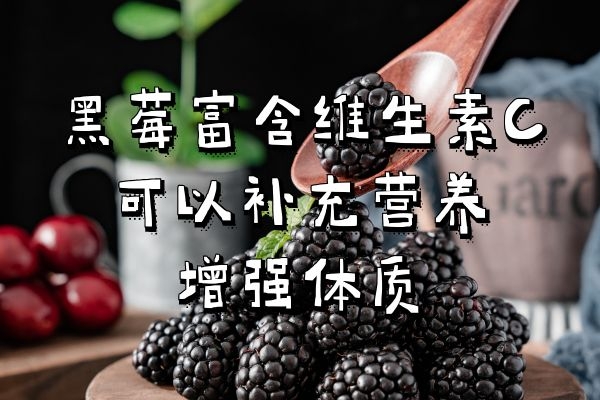  食用黑莓的功效与作用及禁忌有那哪些？