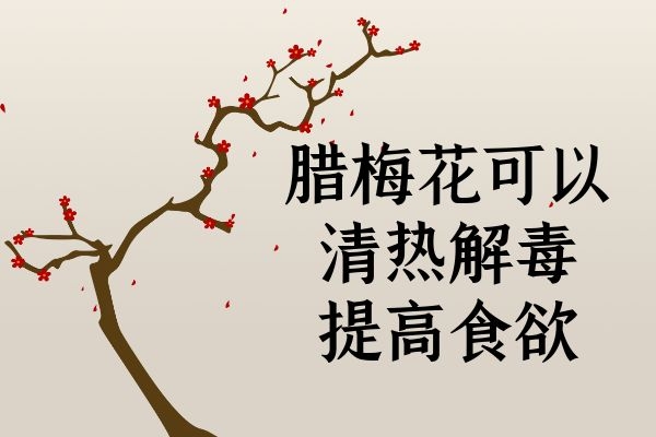 清热解毒 提高食欲