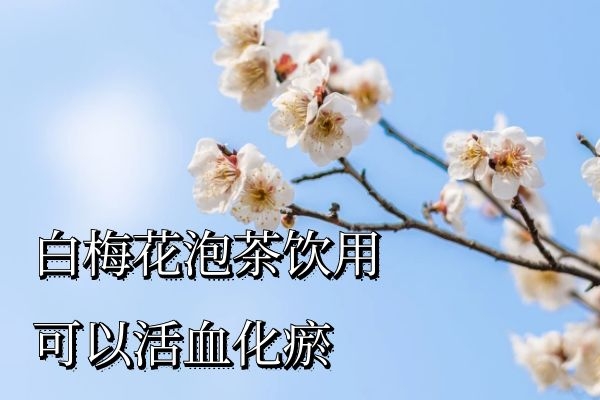 活血化瘀