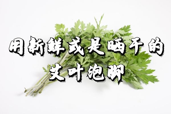  艾草泡脚的好处多，那么正确的艾叶泡脚方法是什么呢？