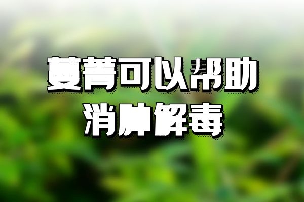  蔓菁的功效与作用及食用禁忌有哪些？