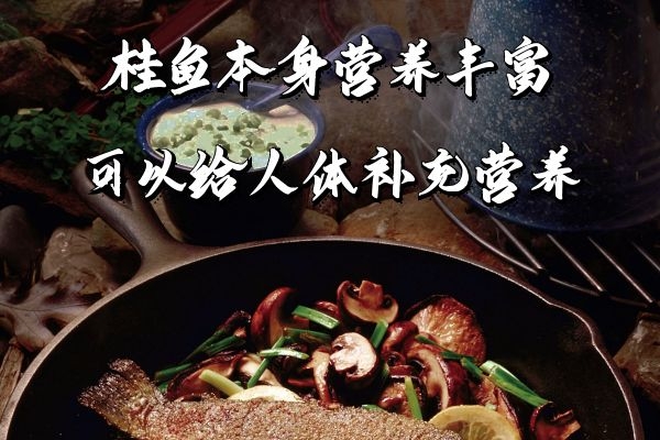  桂鱼的营养价值及功效与作用及禁忌分别是什么？