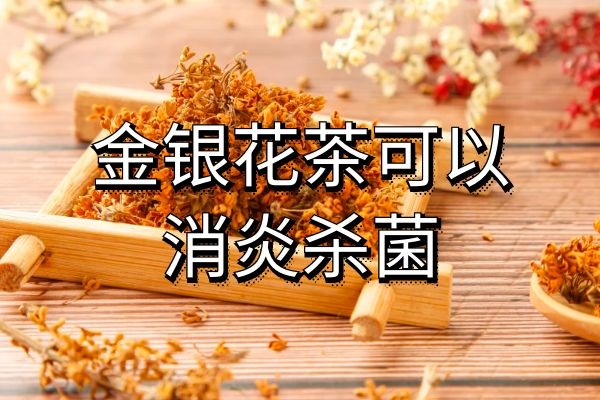 金银花茶