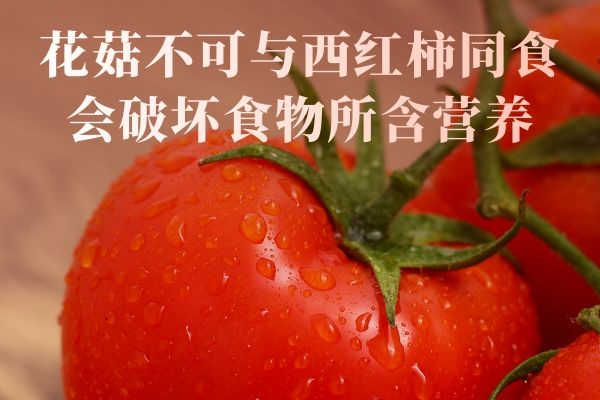  食用花菇的禁忌有哪些？以下几点要留意了