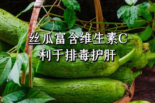  丝瓜的作用功效与禁忌是什么？丝瓜是不可小瞧的食材