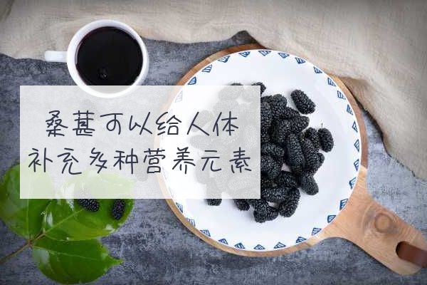  桑葚的功效与作用是什么？这十大功效不可不知哦