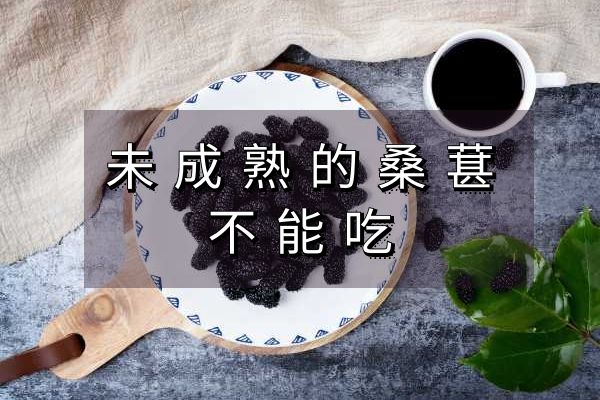  食用桑葚的禁忌有哪些？这几点要注意了