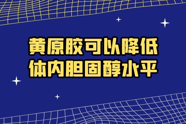  黄原胶的功效与作用及食用禁忌有哪些？