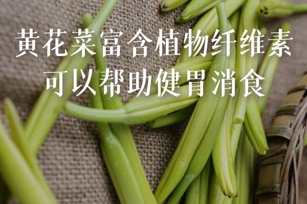  食用黄花菜的营养价值与功效及禁忌是什么？