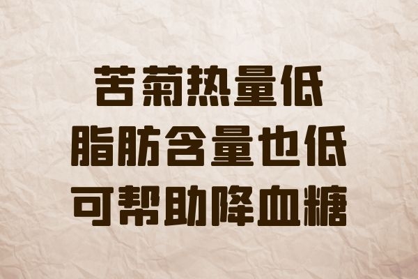  你了解苦菊的功效与作用及禁忌是什么吗？
