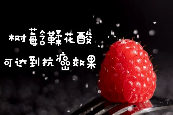 关于树莓的功效与作用及禁忌人群你了解多少？
