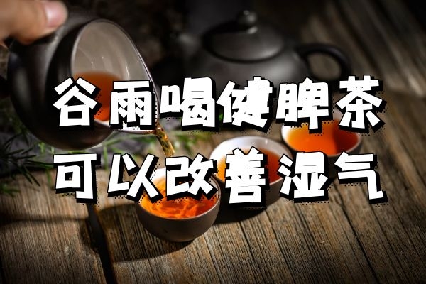  谷雨养生茶饮有哪些？这六款茶合理饮用效果好