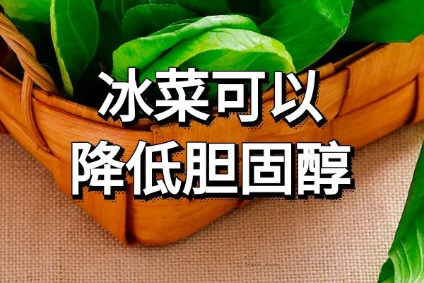  冰菜的营养价值以及功效作用有哪些？
