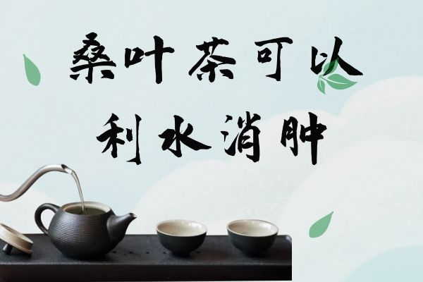  饮用桑叶茶的功效与作用及禁忌分别是什么？