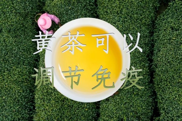  什么是黄茶？饮用黄茶的功效与作用有哪些？