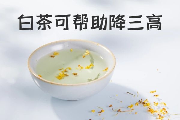  白茶的功效与作用及饮用禁忌有哪些？