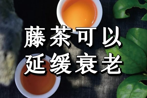  藤茶的功效与作用及饮用禁忌有哪些？