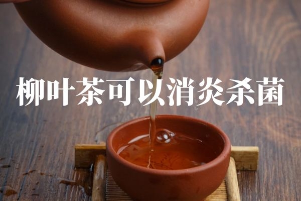  饮用柳叶茶的功效与作用及禁忌分别是什么？