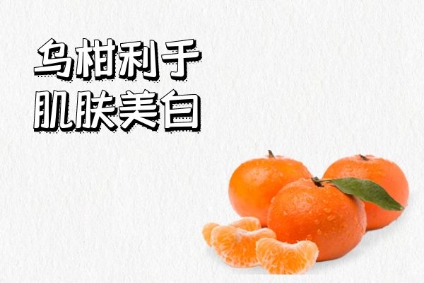  食用乌柑的功效与作用及禁忌分别是什么呢？