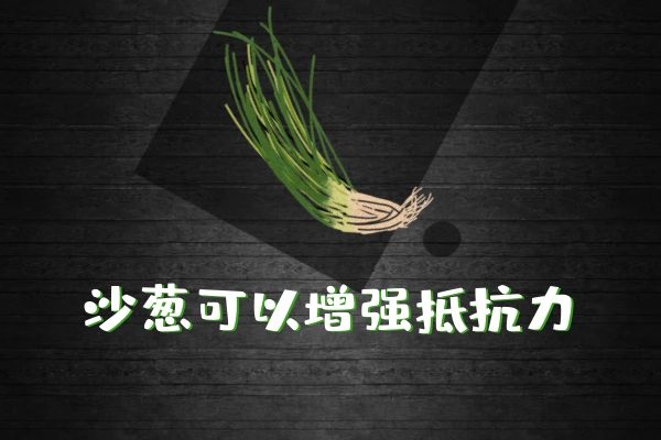  食用沙葱的功效与作用禁忌分别是什么？