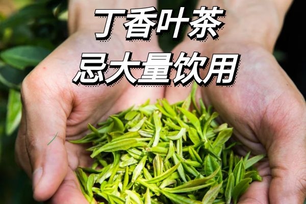  饮用丁香叶茶的禁忌事项有哪些？
