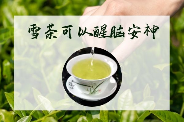  雪茶的功效与作用及禁忌有哪些？