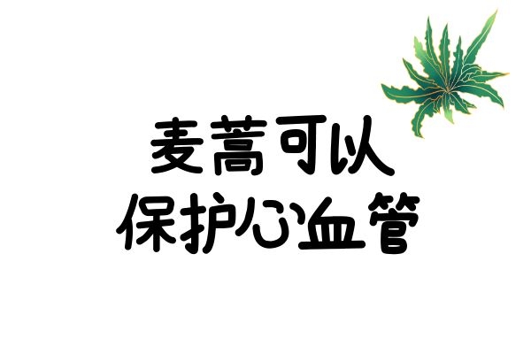  服用麦蒿的功效与作用及禁忌分别是什么？