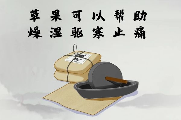  关于草果的功效与作用及禁忌人群分别有哪些？