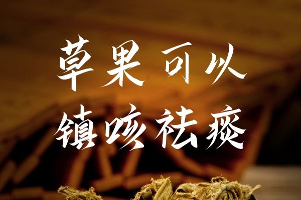 镇咳祛痰