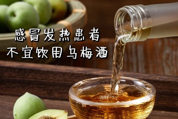  饮用乌梅泡酒的禁忌人群与禁忌事项有哪些呢？