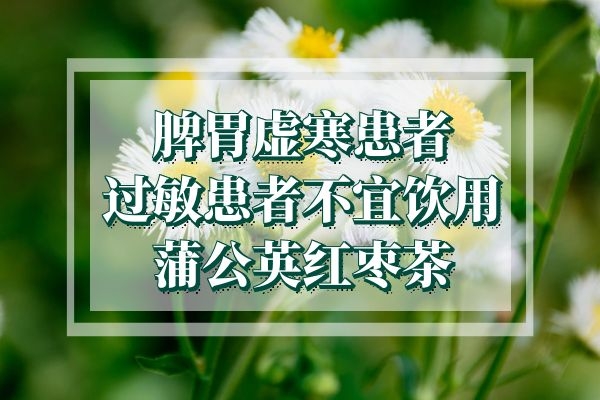蒲公英红枣茶禁忌人群