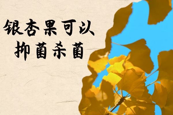  银杏果的功效与作用有哪些？