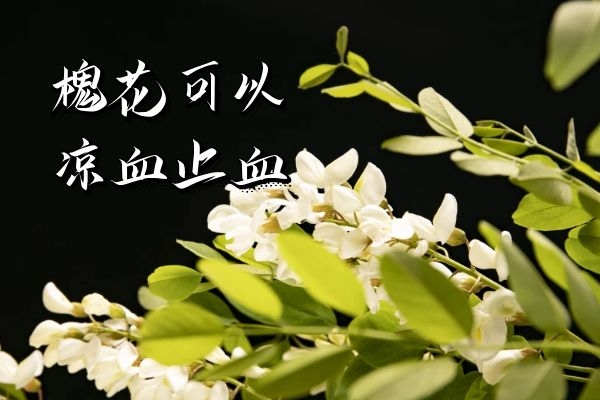  槐花的功效与作用及禁忌有哪些？