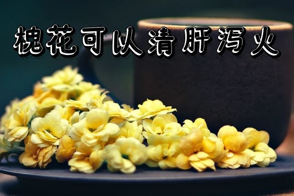 清肝泻火