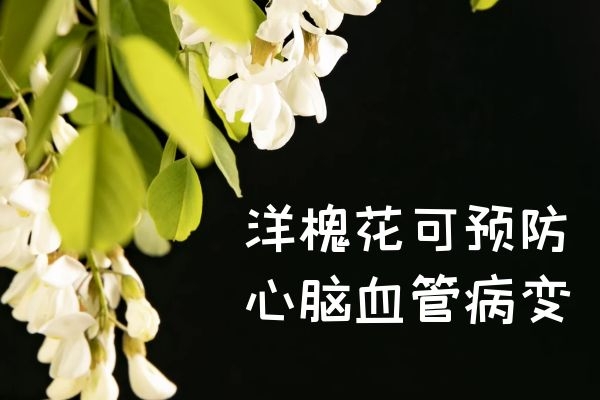 预防心脑血管病变