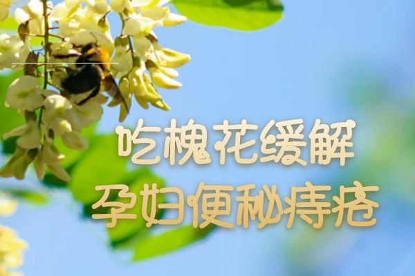  孕妇吃槐花的好处与禁忌