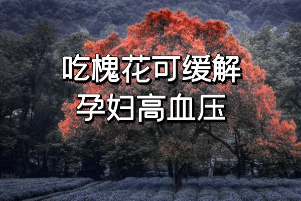 缓解孕妇高血压