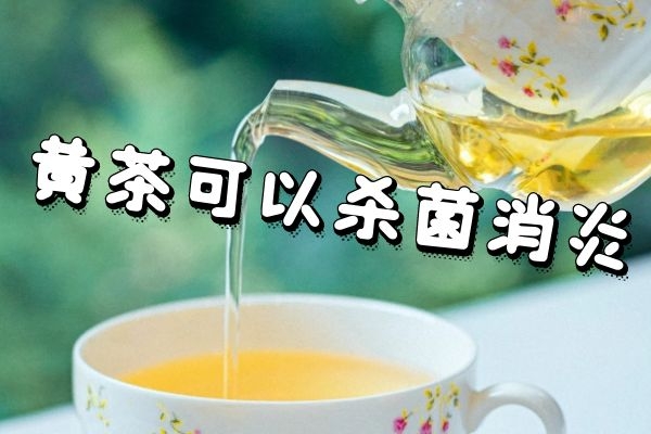  关于黄茶的功效与作用你了解多少？黄茶不适合什么人喝？