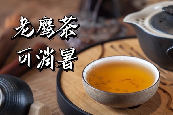  老鹰茶的功效与作用及禁忌有哪些？