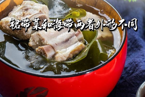  裙带菜和海带的区别有哪些？两者的不同之处有这几个
