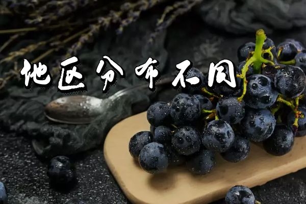  黑葡萄干和黑加仑干的区别有哪些？